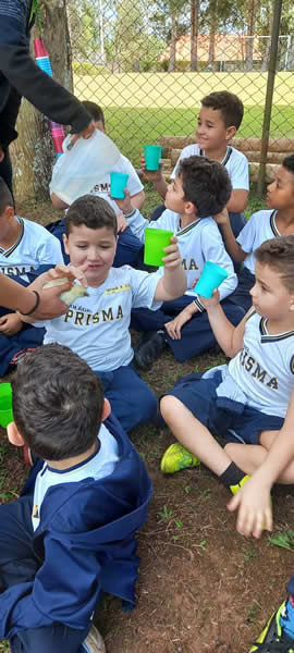 Bicho Mania 2022